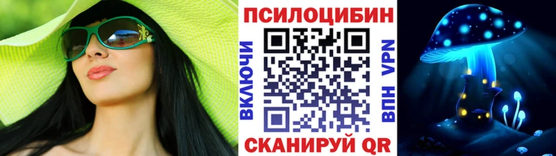 Галлюциногенные грибы Psilocybe  гидра ссылки  Жуковка 