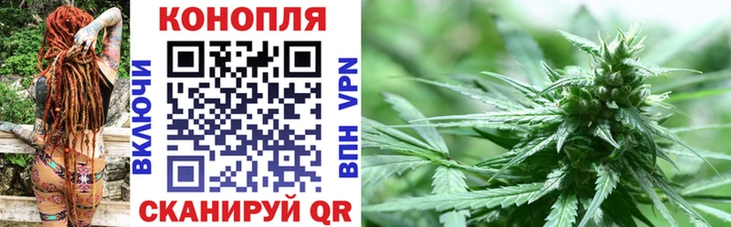 купить наркоту  Жуковка  Канабис гибрид 